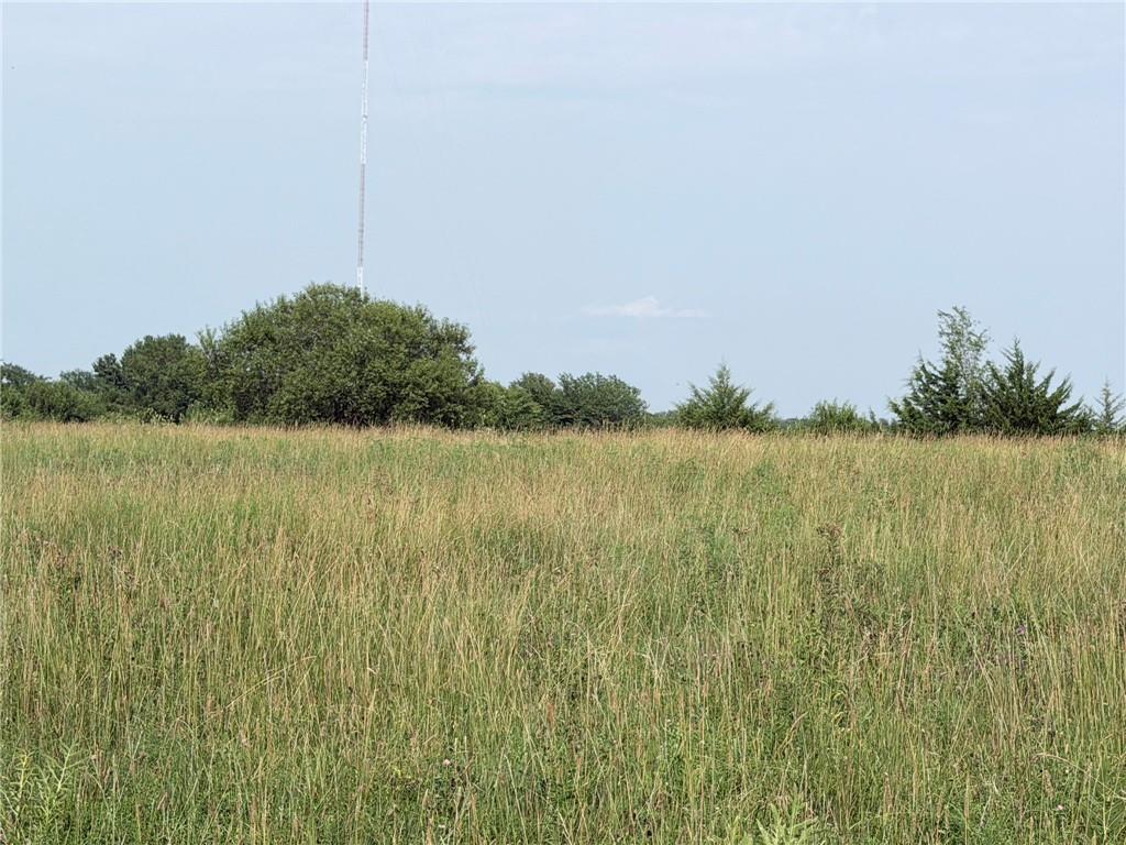 Listing Photo MLS #HMS2635701
