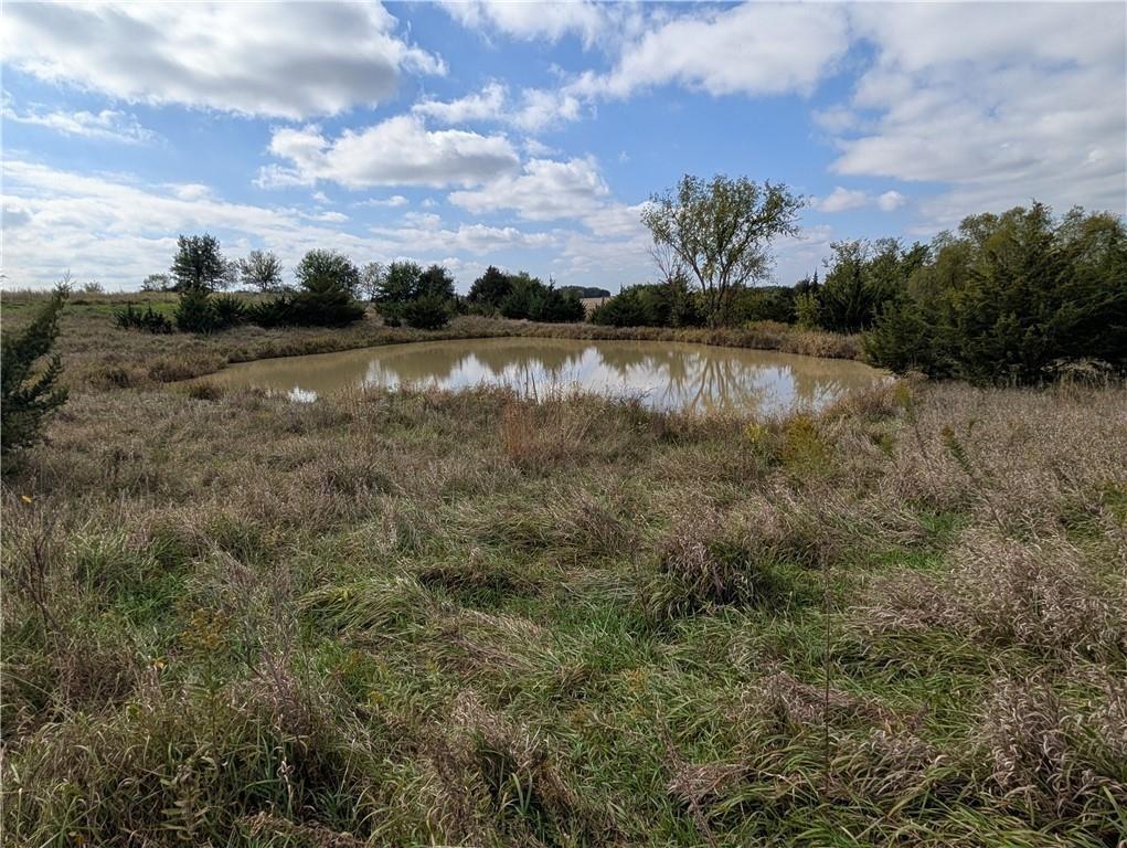 Listing Photo MLS #HMS2635785