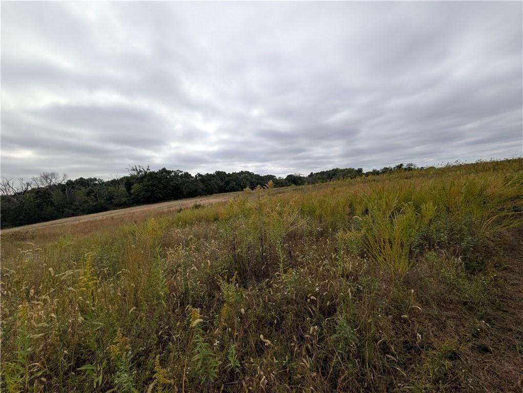 Listing Photo MLS #HMS2635786