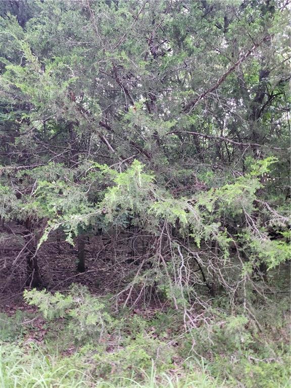Listing Photo MLS #HMS2636024