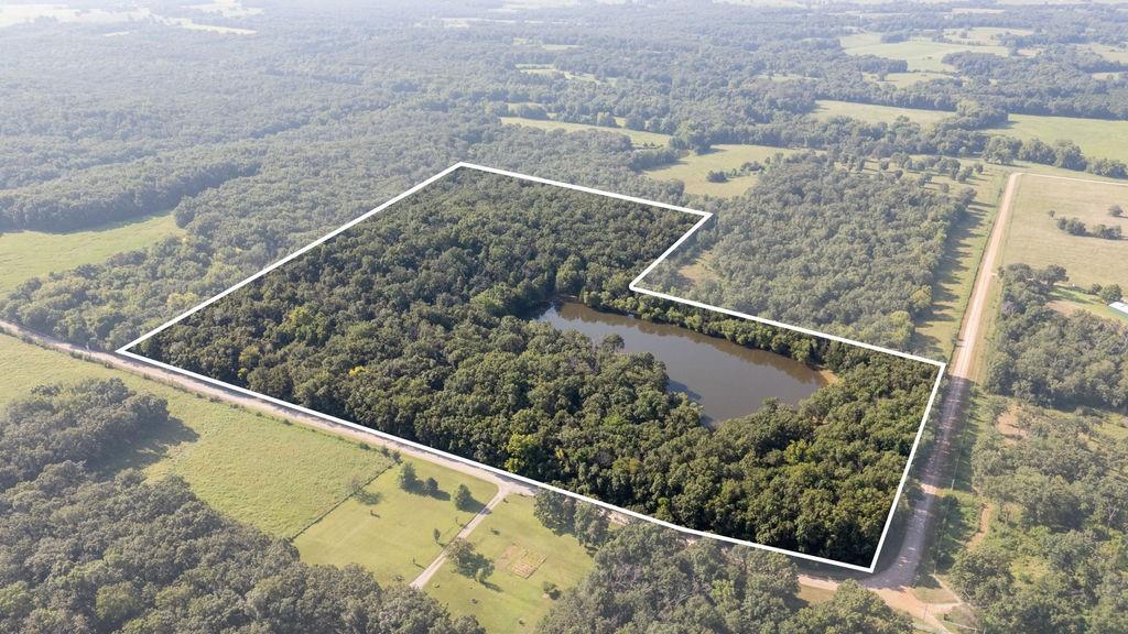 Listing Photo MLS #HMS2636198