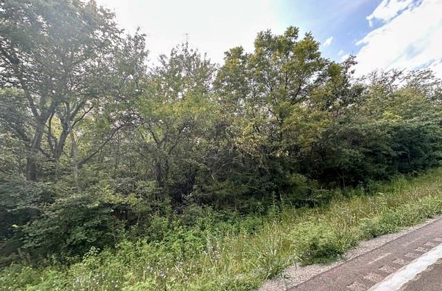 Listing Photo MLS #HMS2636218