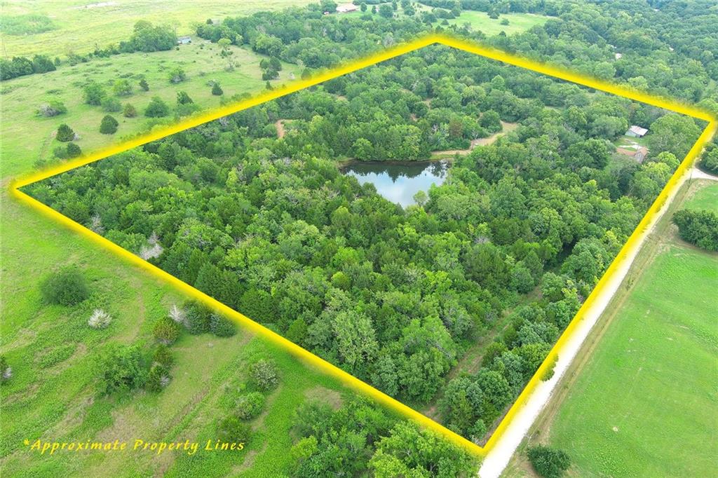 Listing Photo MLS #HMS2636288