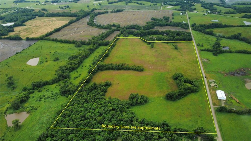 Listing Photo MLS #HMS2636444