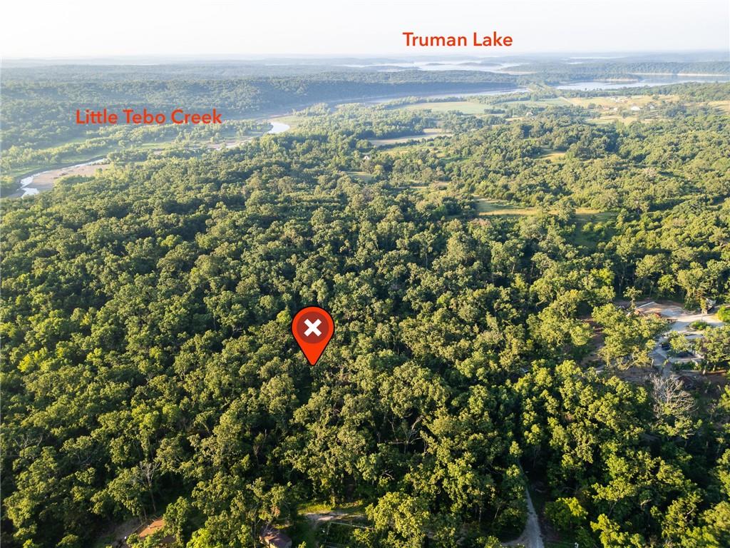 Listing Photo MLS #HMS2636658