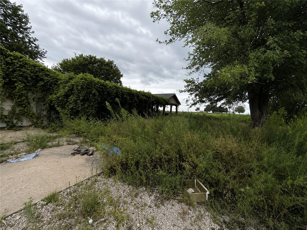 Listing Photo MLS #HMS2636847