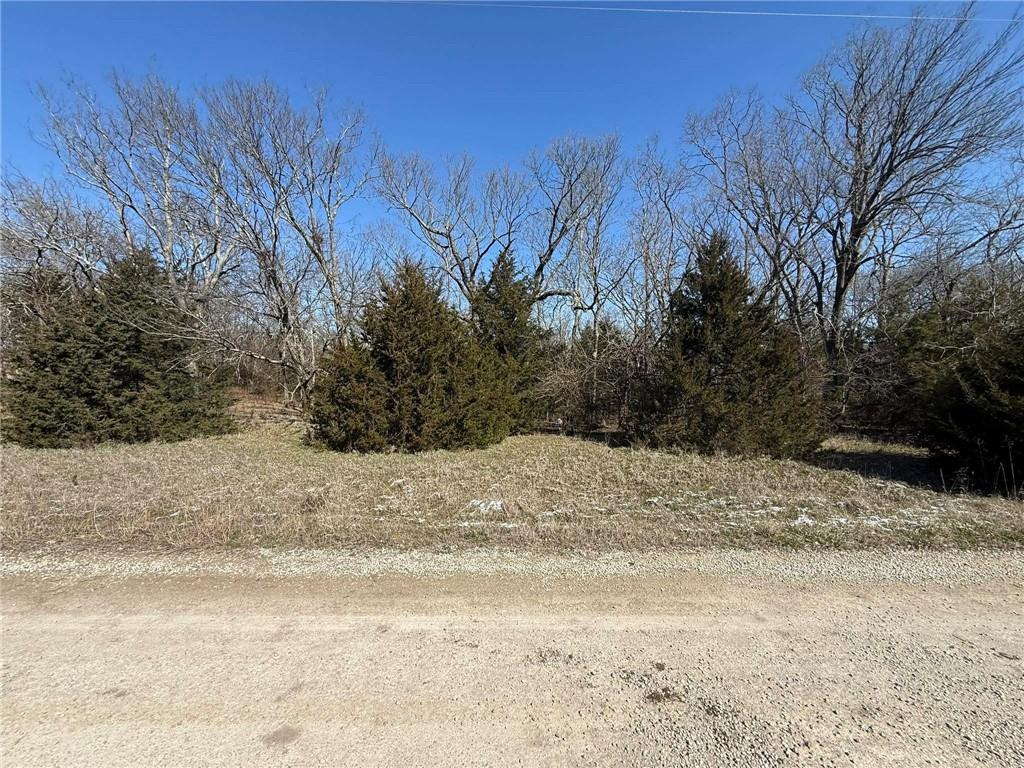 Listing Photo MLS #HMS2636871
