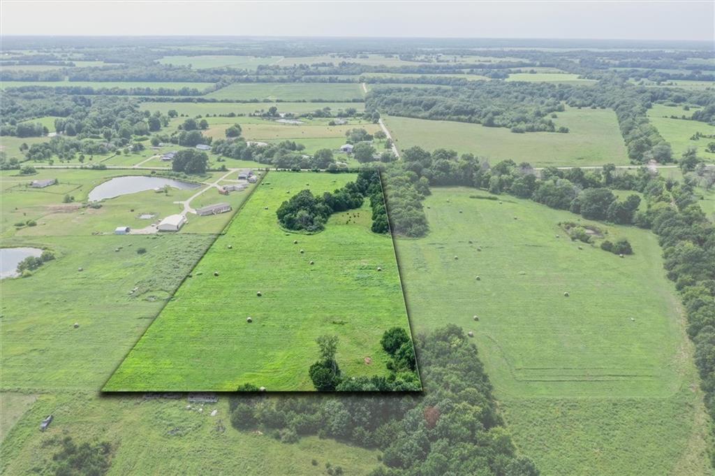 Listing Photo MLS #HMS2636882