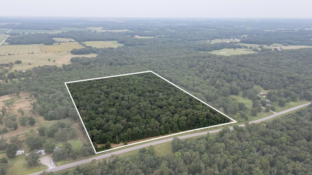Listing Photo MLS #HMS2637003