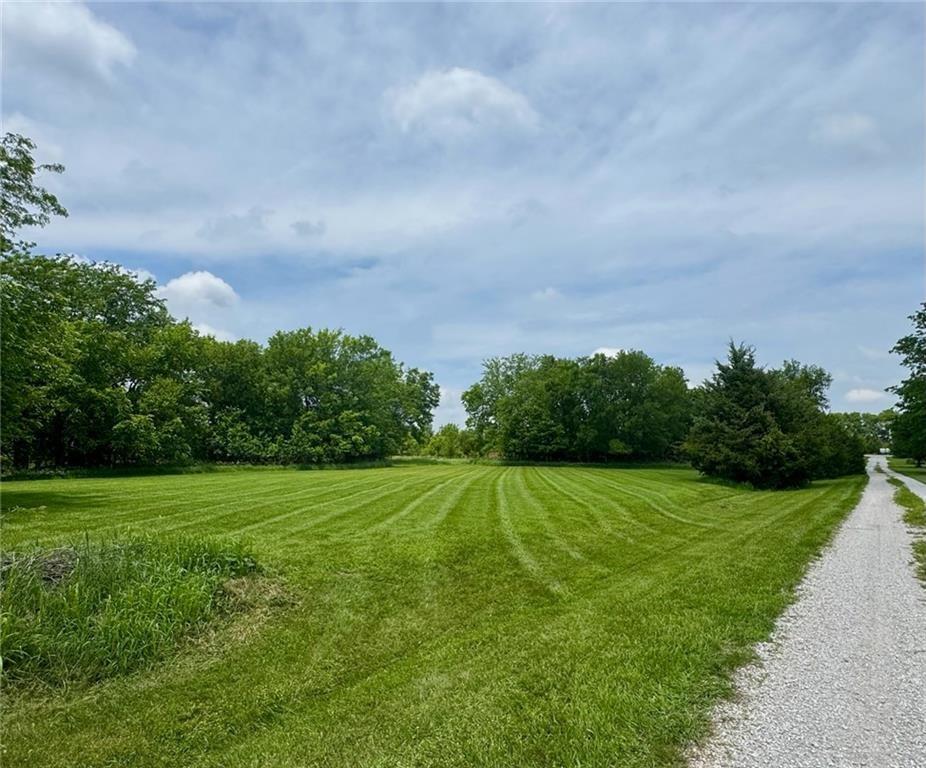 Listing Photo MLS #HMS2637203