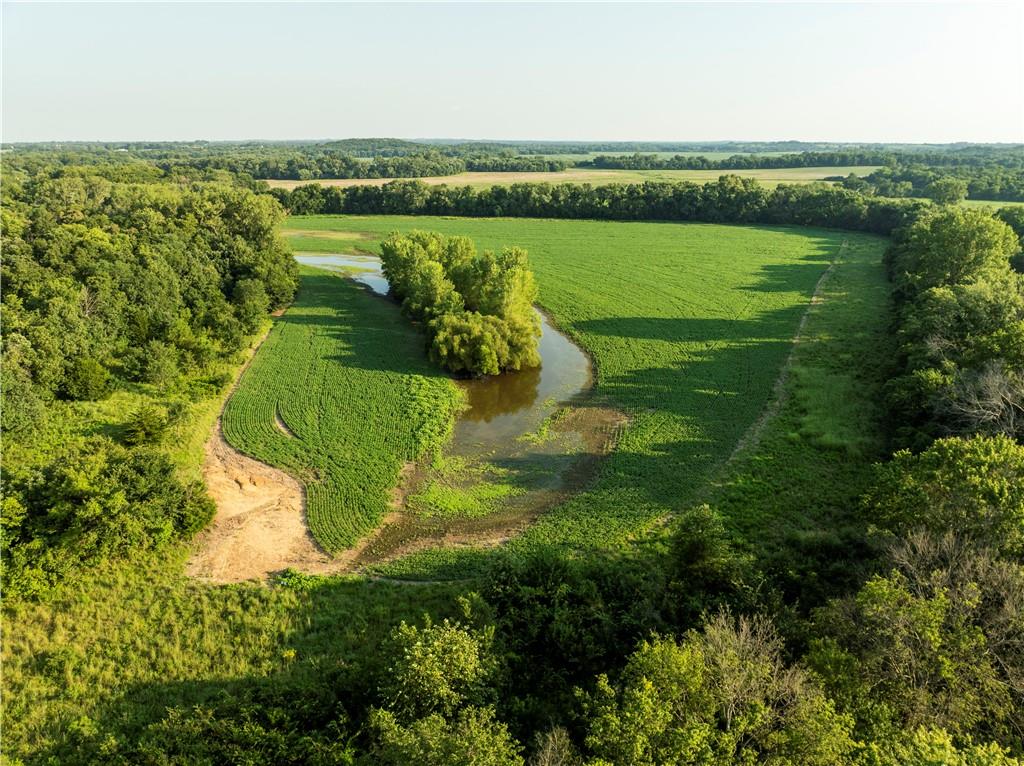Listing Photo MLS #HMS2637392