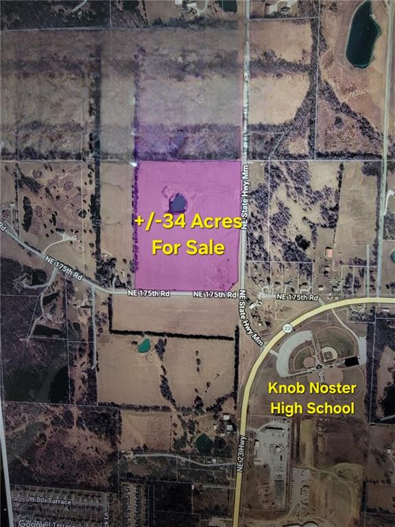 Listing Photo MLS #HMS2637519