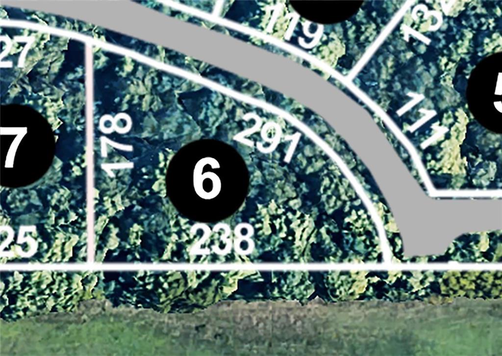 Listing Photo MLS #HMS2637526