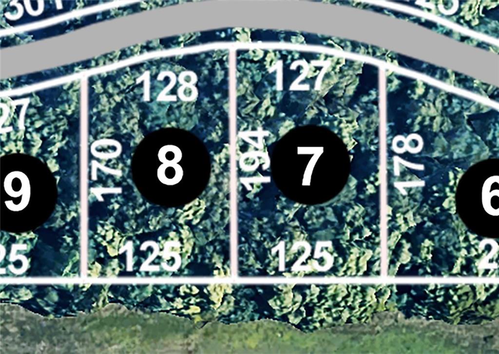 Listing Photo MLS #HMS2637529