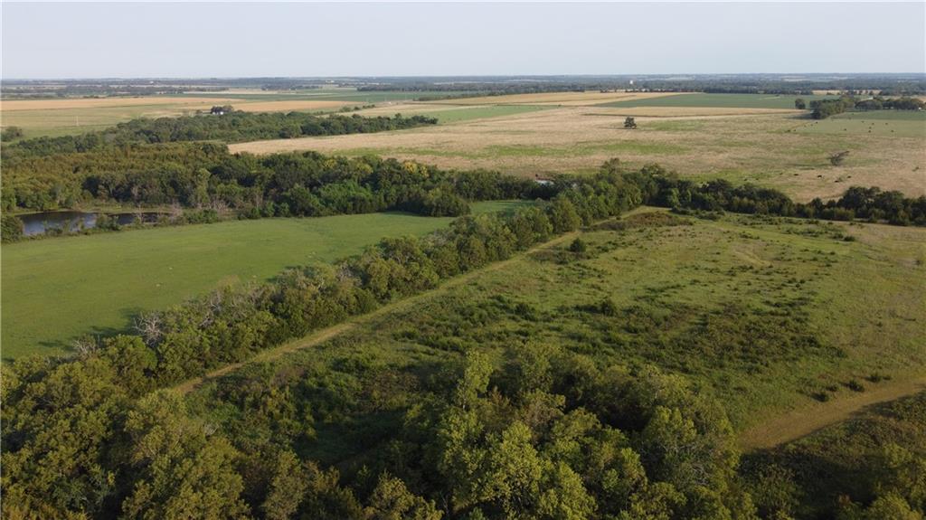 Listing Photo MLS #HMS2637606