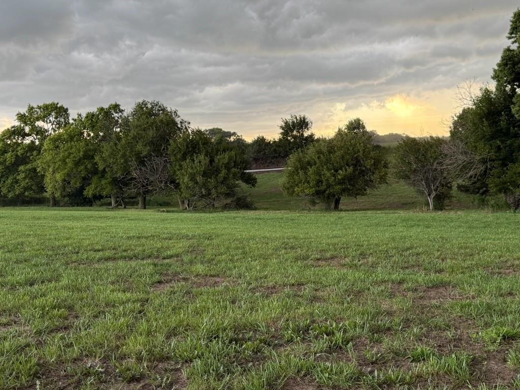 Listing Photo MLS #HMS2637729