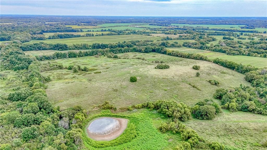 Listing Photo MLS #HMS2637824