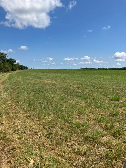 Listing Photo MLS #HMS2638039