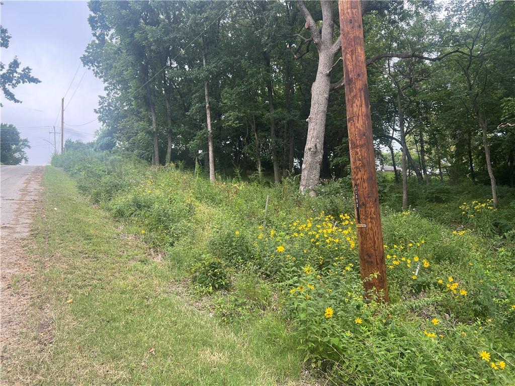 Listing Photo MLS #HMS2638069