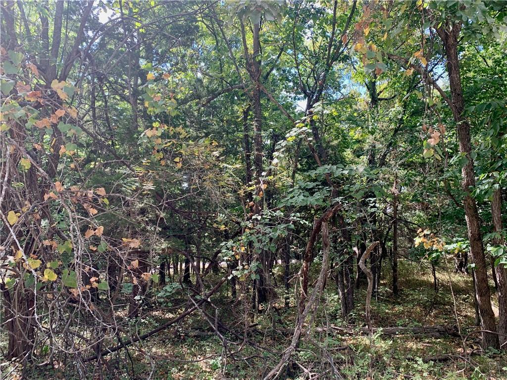 Listing Photo MLS #HMS2638162