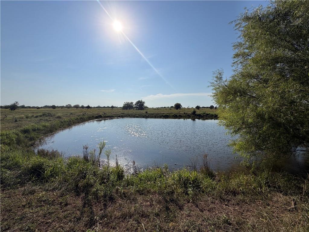 Listing Photo MLS #HMS2638170