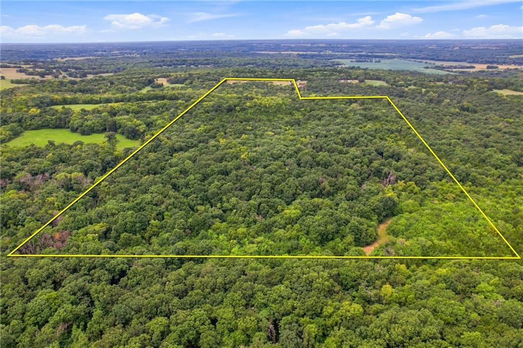 Listing Photo MLS #HMS2638228