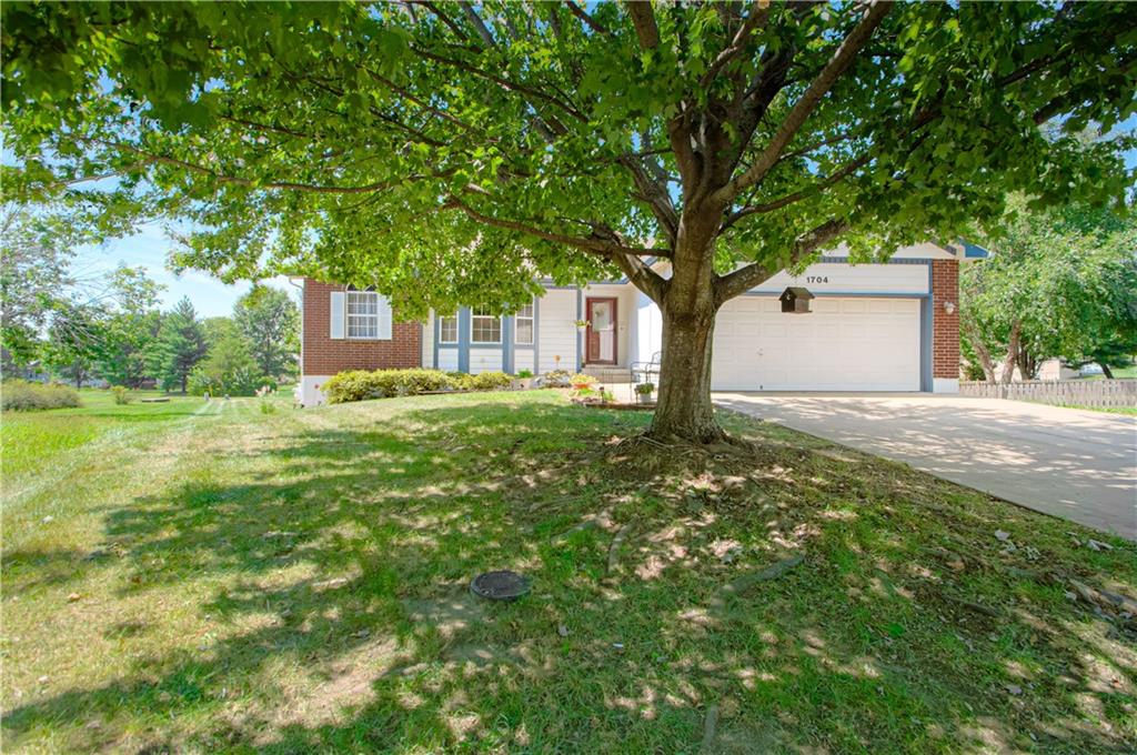 Listing Photo MLS #HMS2638271