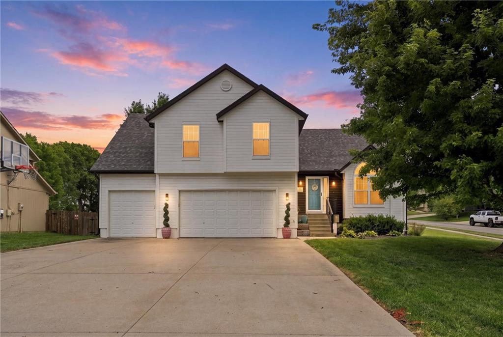 Listing Photo MLS #HMS2638296