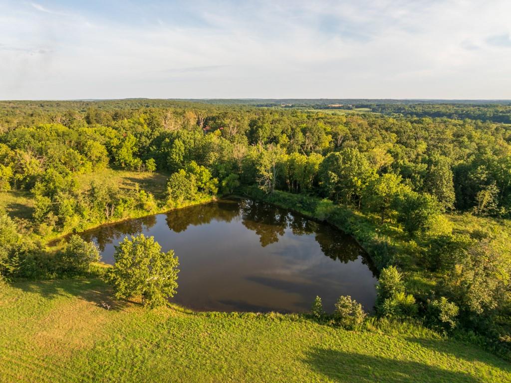 Listing Photo MLS #HMS2638312