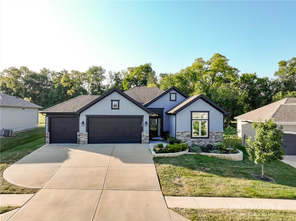 Listing Photo MLS #HMS2638319