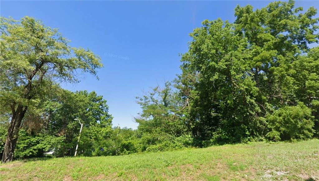 Listing Photo MLS #HMS2638630