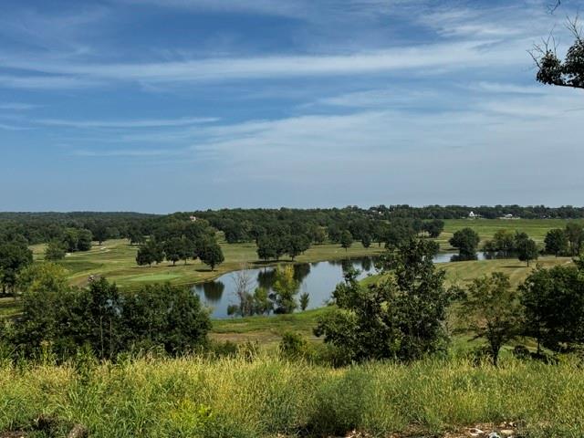 Listing Photo MLS #HMS2638748