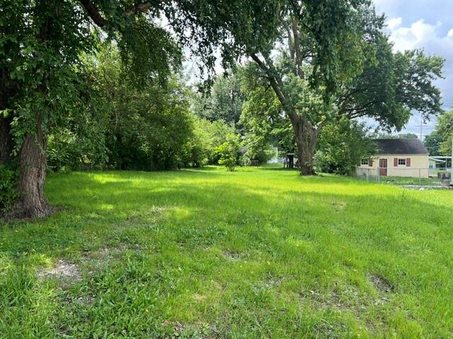 Listing Photo MLS #HMS2638804