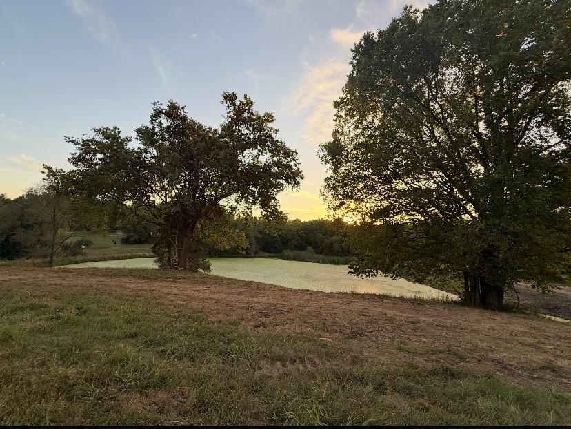 Listing Photo MLS #HMS2638821
