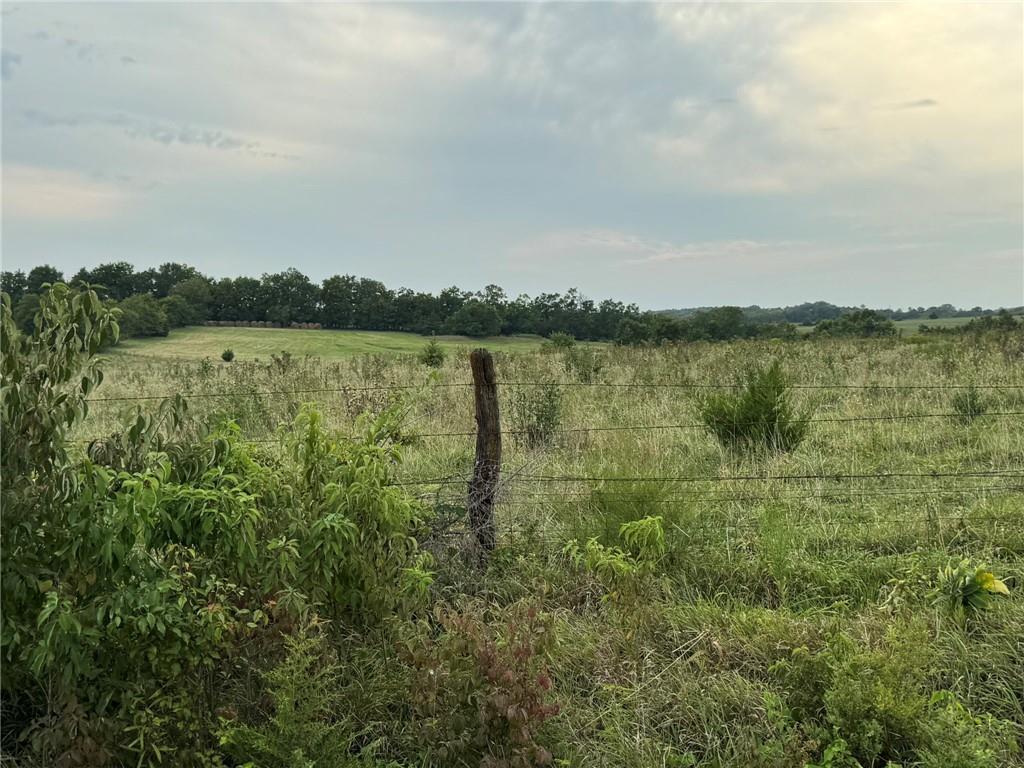 Listing Photo MLS #HMS2638908