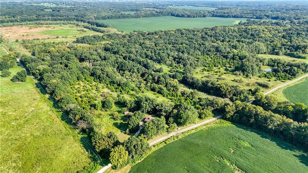 Listing Photo MLS #HMS2638927