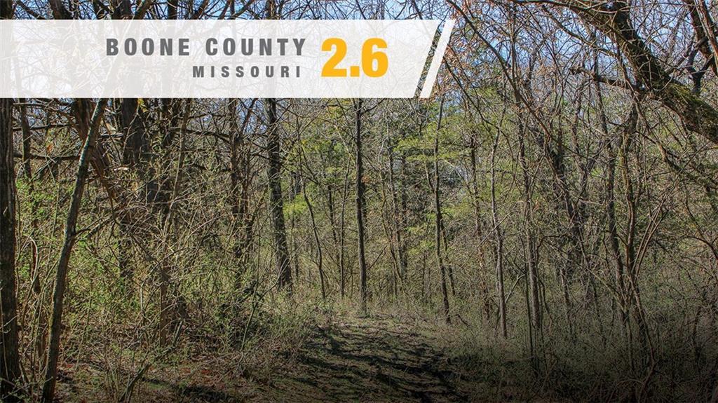 Listing Photo MLS #HMS2639198