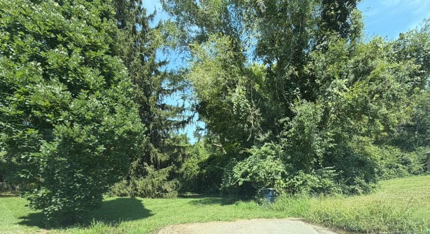Listing Photo MLS #HMS2639325