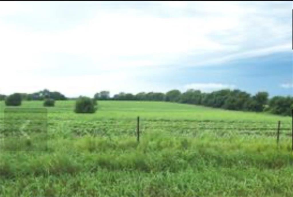 Listing Photo MLS #HMS2639337