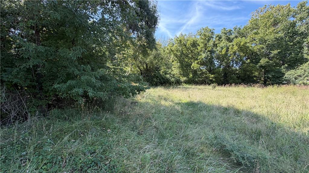 Listing Photo MLS #HMS2639344