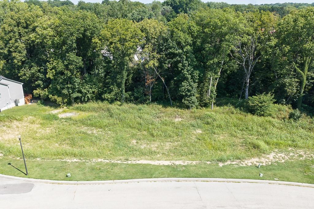 Listing Photo MLS #HMS2639402