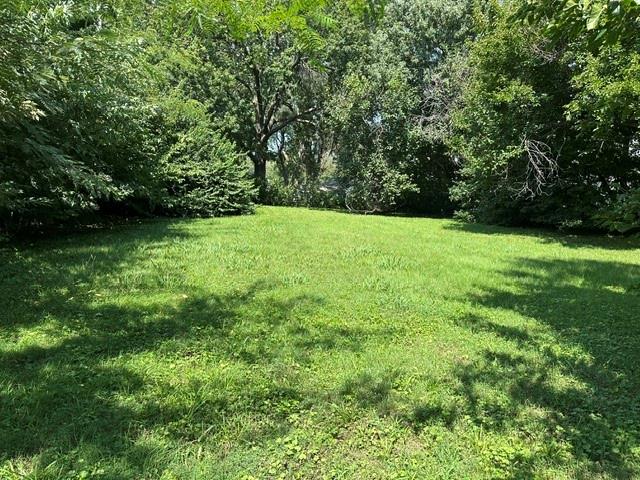 Listing Photo MLS #HMS2639554