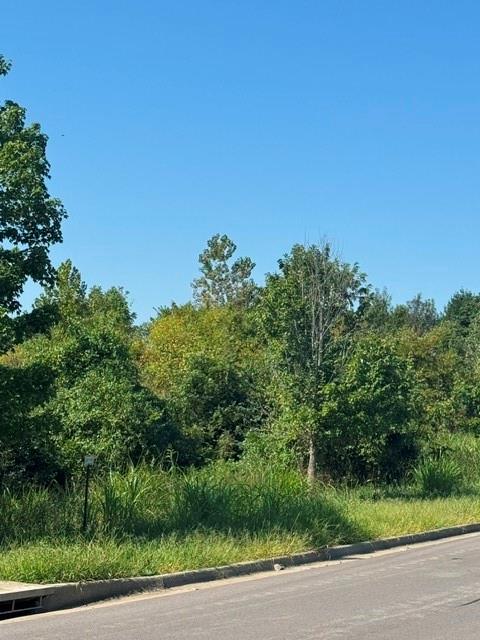Listing Photo MLS #HMS2639579