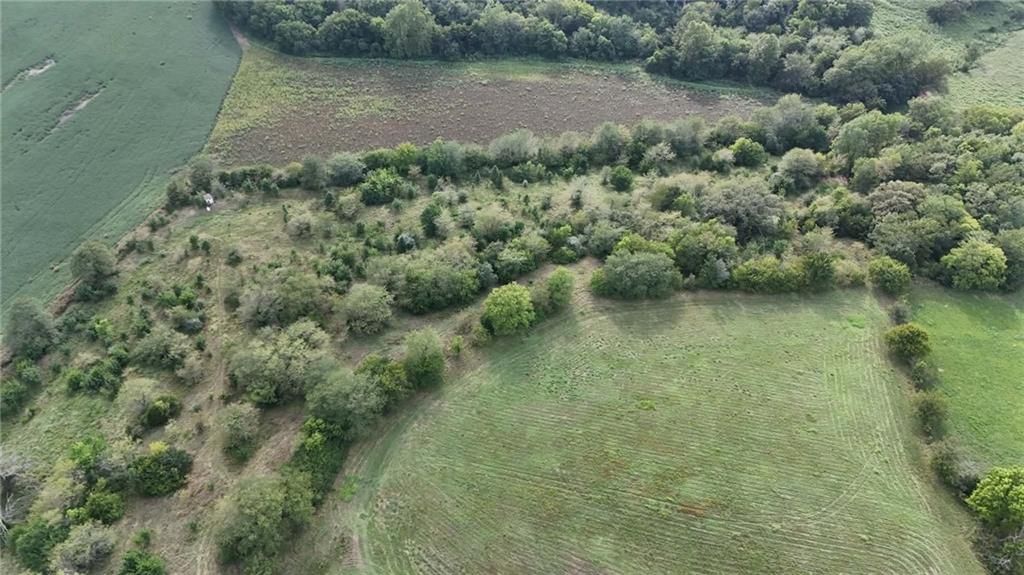 Listing Photo MLS #HMS2639696