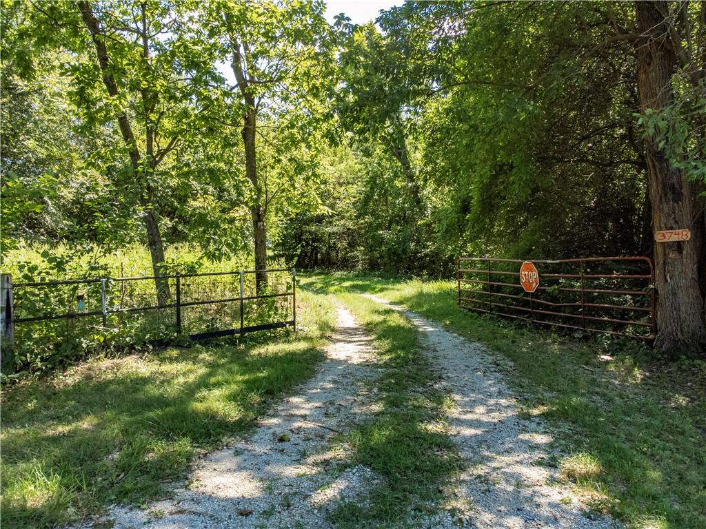 Listing Photo MLS #HMS2639756