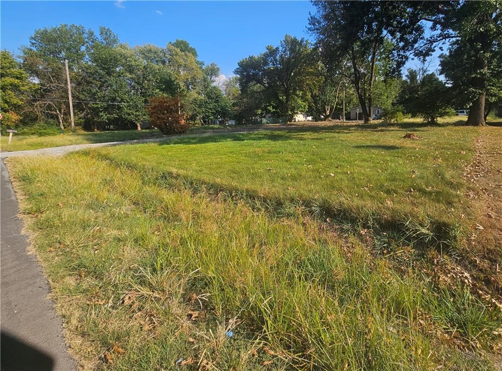 Listing Photo MLS #HMS2639928