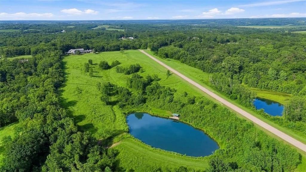 Listing Photo MLS #HMS2640108