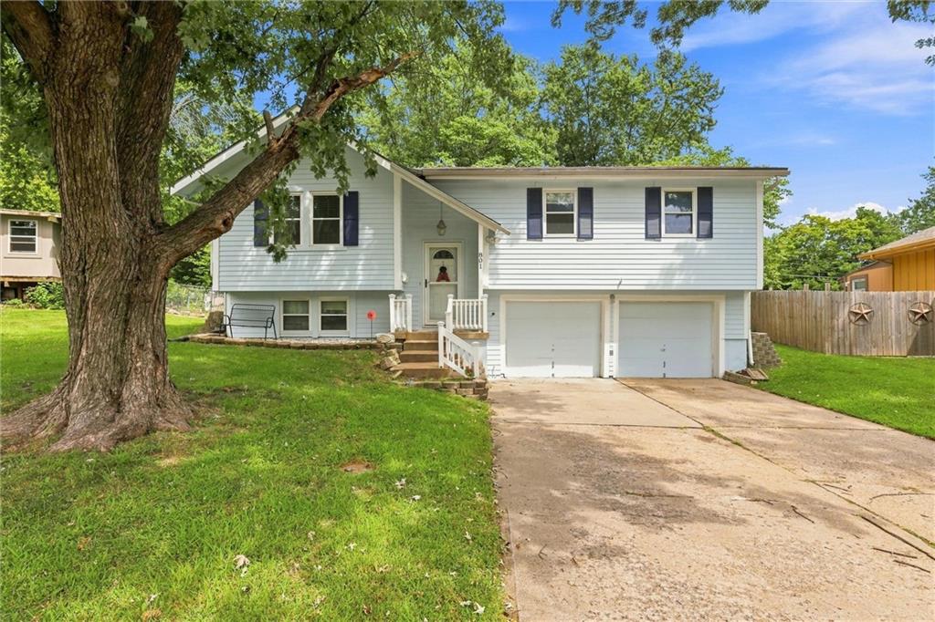 Listing Photo MLS #HMS2640256