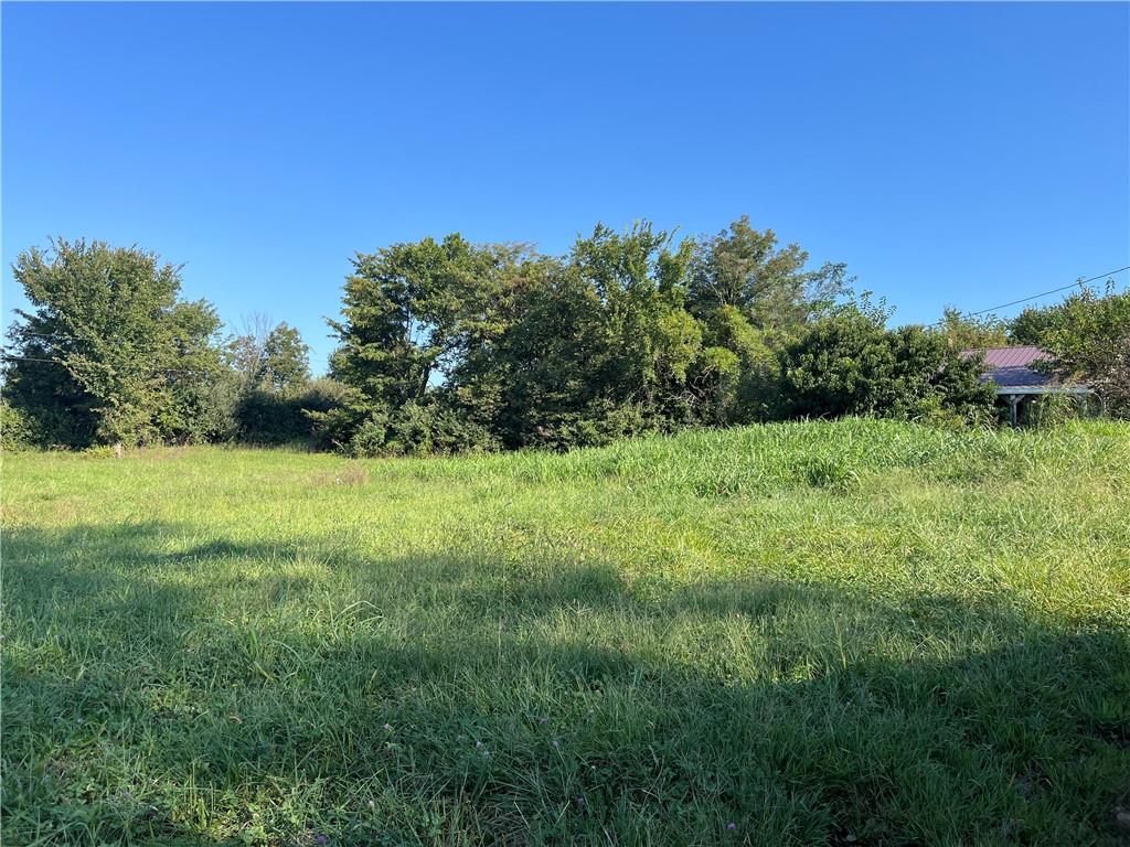 Listing Photo MLS #HMS2640261
