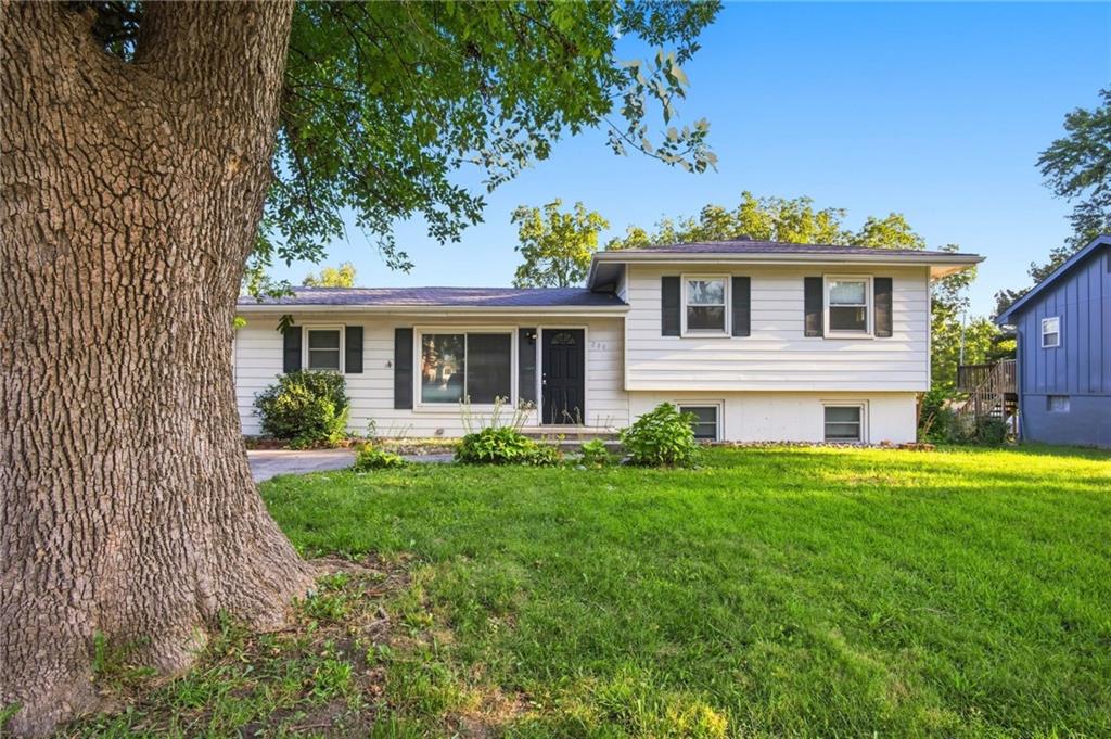 Listing Photo MLS #HMS2640413